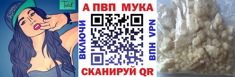 Альфа ПВП СК  Николаевск 