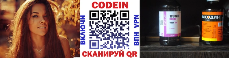 Кодеин напиток Lean (лин)  купить закладку  Николаевск 