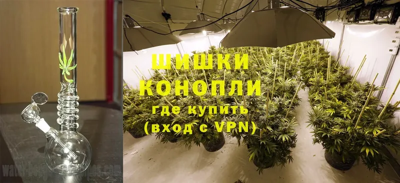 Бошки марихуана THC 21%  hydra рабочий сайт  Николаевск 